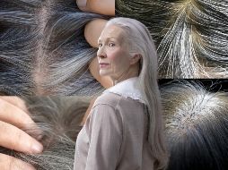 Aunque la razón principal es el envejecimiento, otros factores como el estrés, la genética y deficiencias nutricionales favorecer a que de repente aparezcan canas. ESPECIAL / CANVA