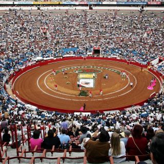 Aprueban dictamen de corridas de toros sin violencia en CDMX