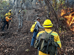 De acuerdo con el último informe de la Comisión Nacional Forestal, suman 215 hectáreas afectadas, ubicándose en el octavo lugar. X/@COESFO_GobOax