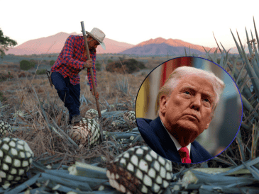 Ante la amenaza de aranceles, distribuidores estadounidenses realizan compras de pánico a productores tequileros. EFE/F. GUASCO EFE/AL DRAGO/POOL