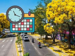 El inicio de la primavera es una de las fechas más esperadas por quienes anhelan el clima cálido. EL INFORMADOR/ ARCHIVO.