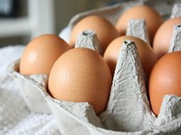 Un brote importante de influenza aviar y una despoblación masiva de más de 100 millones de aves, es la principal causa del incremento en el precio del huevo. Unsplash