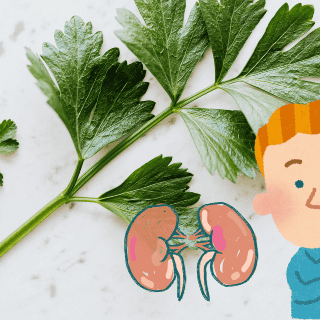 ¿Cómo preparar infusión de perejil para los riñones?