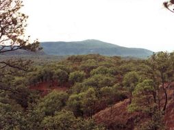 El mayor pulmón de la zona metropolitana de Guadalajara, el bosque de la Primavera es un oasis en medio del caos cotidiano de la ciudad. CORTESÍA / Gobierno de Jalisco