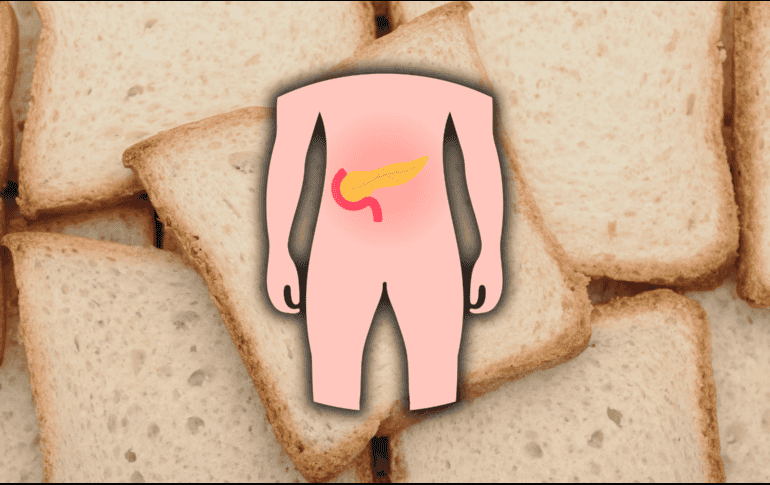 El páncreas tiene una función exocrina, que consiste en la producción de enzimas que descomponen los alimentos durante la digestión. EL INFORMADOR / ARCHIVO