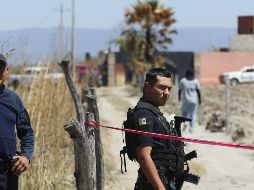 Claudia Sheinbaum anuncia reformas contra desapariciones