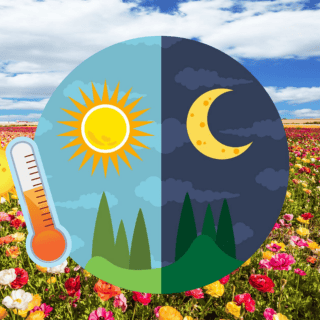 ¿Cuándo y a qué hora llegará el equinoccio de primavera en México?