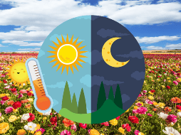 En México, el equinoccio de primavera es una fecha de gran relevancia cultural y turística. Miles de personas acuden a zonas arqueológicas como Teotihuacán, Chichén Itzá y Monte Albán para recibir la primavera, participar en rituales ancestrales y cargarse de energía. CANVA