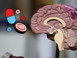 5 efectos positivos que ofrece el magnesio. UNSPLASH / R. WEERMEIJER