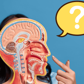 ¿Qué dice la psicología de tocarse la nariz al hablar?