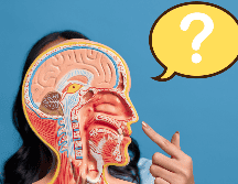 Para entender el significado de este gesto, es fundamental analizar la situación en la que ocurre. CANVA / A. Leonven