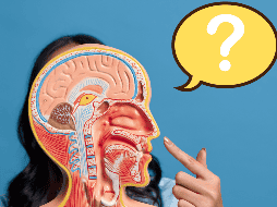 Para entender el significado de este gesto, es fundamental analizar la situación en la que ocurre. CANVA / A. Leonven