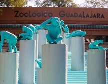 Si planeas aprovechar esta increíble promoción, te recordamos que el Zoológico Guadalajara se encuentra muy cerca de la Barranca de Huentitán. EL INFORMADOR/ ARCHIVO.