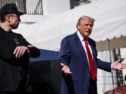 Tesla ha estado en el punto de mira desde que Elon Musk forma parte de la burocracia en el Gobierno federal. EFE/ARCHIVO