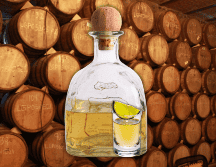 Según la Causa Sauza, 