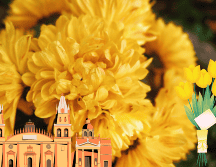 Las mejores florerias en Guadalajara para regalar. UNSPLASH/  A. Nguyen