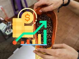 Esta es una de las razones por la que el precio del café se ha incrementado a nivel mundial. EL INFORMADOR / ARCHIVO