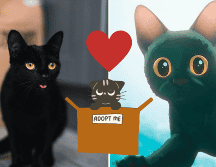 La película de Flow ha sido un éxito para las adopciones de gatos negros. UNSPLASH/ A. Ponomare/ ESPECIAL
