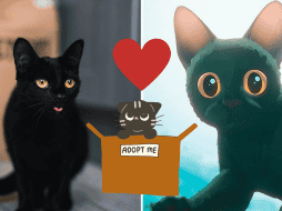 La película de Flow ha sido un éxito para las adopciones de gatos negros. UNSPLASH/ A. Ponomare/ ESPECIAL