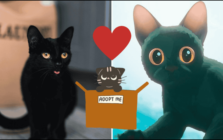La película de Flow ha sido un éxito para las adopciones de gatos negros. UNSPLASH/ A. Ponomare/ ESPECIAL