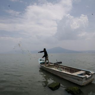 Este es el nivel del lago de Chapala y las presas de Jalisco al inicio de la temporada de calor