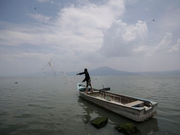 El lago de Chapala se encuentra al 53.3 % de su capacidad. EL INFORMADOR/Archivo