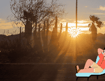 En Jalisco persistirá el tiempo estable, con un ambiente cálido durante las horas centrales del día y fresco al amanecer. SUN / ARCHIVO / CANVA