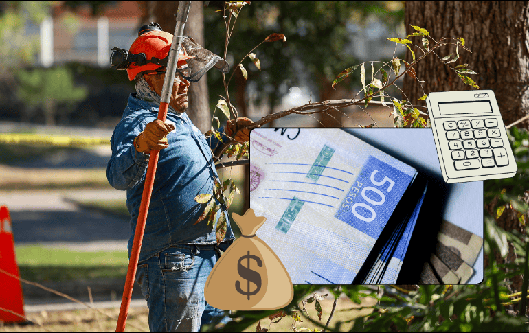 Todos los trabajadores que laboran al servicio de un patrón tienen derecho a recibir el reparto de utilidades, aunque en algunos casos no aplica. EL INFORMADOR/ARCHIVO ESPECIAL
