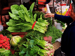 Para consumir magnesio de forma natural se debe incrementar el consumo de vegetales de hoja verde oscuro. EL INFORMADOR / ARCHIVO