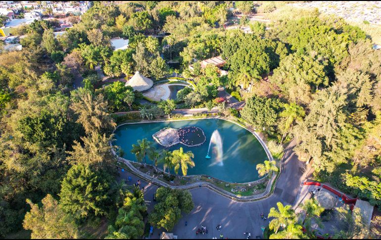 El Zoológico Guadalajara es un lugar seguro en el que las familias pueden pasar un día conectando con la naturaleza al observar en el fondo la impresionante barranca de Huentitán. EL INFORMADOR / ARCHIVO