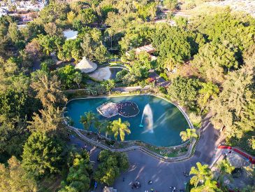 El Zoológico Guadalajara es un lugar seguro en el que las familias pueden pasar un día conectando con la naturaleza al observar en el fondo la impresionante barranca de Huentitán. EL INFORMADOR / ARCHIVO