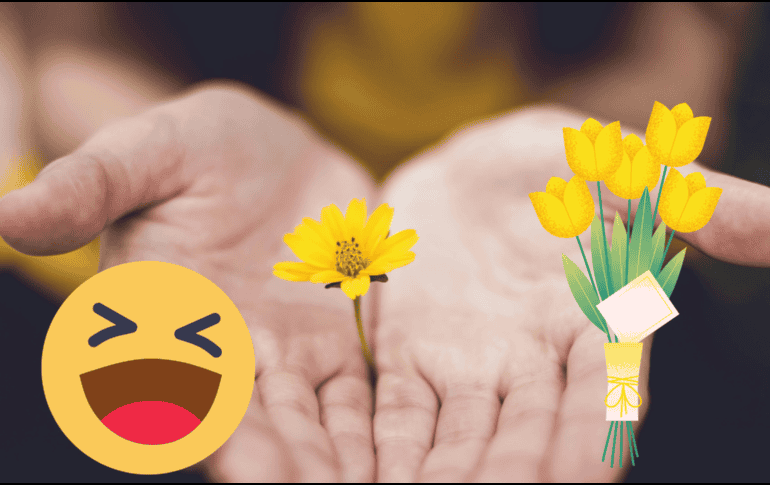 El 21 de marzo se regalan flores amarillas. UNSPLASH/ L. Trochez