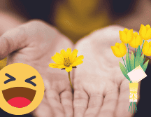 El 21 de marzo se regalan flores amarillas. UNSPLASH/ L. Trochez