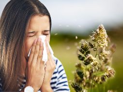 A medida que los árboles y plantas comienzan a florecer, los paisajes se llenan de color y vida, pero este periodo también viene acompañado de un aumento en los casos de alergias entre la población. ESPECIAL / CANVA