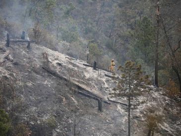 El hecho se reportó a la altura del kilómetro 14 de la Carretera hacia la Cola de Caballo, a la altura de la comunidad Los Comales. SUN / ESPECIAL
