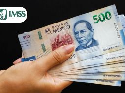 Para realizar el trámite puedes hacer cita para acudir directamente a la sucursal de tu AFORE. Freepik / gob.mx