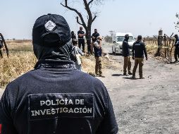 El rancho La Vega había sido detectado desde finales del mes de enero y fue asegurado por la Guardia Nacional. EL INFORMADOR / ARCHIVO