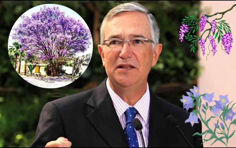 Gracias a su iniciativa y al respaldo del gobierno de Álvaro Obregón, las jacarandas comenzaron a poblar las principales avenidas y calles de la ciudad, dando lugar al espectáculo primaveral que hoy en día enamora a locales y visitantes por igual. NTX/ARCHIVO