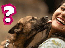 Si no quieres que tu perro te lama, puedes redirigir su comportamiento dándole juguetes o premiándolo cuando se comporte de otra manera. CANVA