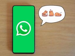 Este cambio estético te permite mostrar al tierno roedor sin modificar las funcionalidades de la plataforma. Pexels / Freepik / Canva