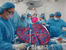 El hígado es un órgano difícil de trasplantar, debido a la complejidad de funciones que cumple en el cuerpo. EL INFORMADOR / ARCHIVO