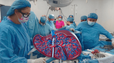 El hígado es un órgano difícil de trasplantar, debido a la complejidad de funciones que cumple en el cuerpo. EL INFORMADOR / ARCHIVO