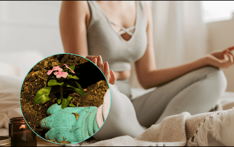 Practicar un hobby es una de las medidas recomendadas por los especialistas para combatir la ansiedad.  ESPECIAL