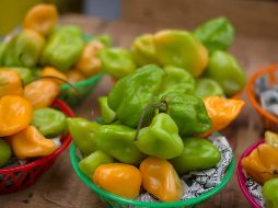 El Centro de Investigación Científica de Yucatán ofrece a los productores cuatro tipos de semillas: Mayan Ba'alché, Kisín, Mayan K'iin® y Mayan Chac. NOTIMEX/Archivo