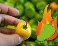 El chile habanero es uno de los más populares en México. NTX / ARCHIVO