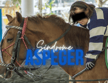 Entre las sugerencias de tratamientos destacan la equinoterapia, en la cual conviven y montan un equino, lo que se incentiva de manera masiva al cerebro. SUN / ARCHIVO