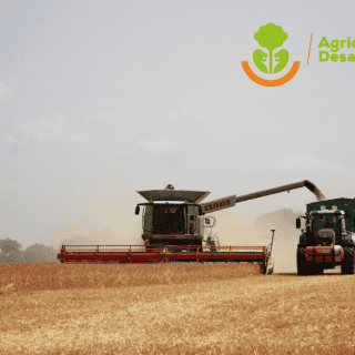 Sader lanza convocatorias para programas de apoyo al campo