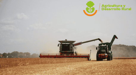 Las y los interesados podrán acudir a las ventanillas en un horario de las 9:00 a las 16:00 horas para conocer mayores detalles de las convocatorias, así como para presentar sus solicitudes.  ESPECIAL/ Pixabay.