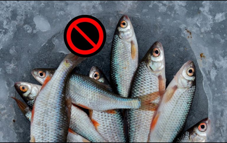 1 de cada 5 peces que llegan a nuestros platos proviene de la pesca ilegal o irregular. Pexels y Canva