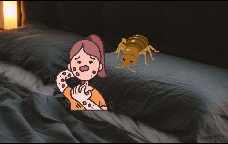 Seguir estos métodos naturales de eliminación es una excelente opción para mantener tu hogar libre de chinches sin comprometer tu salud. Unsplash.